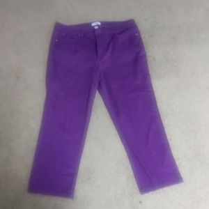 Purple pants